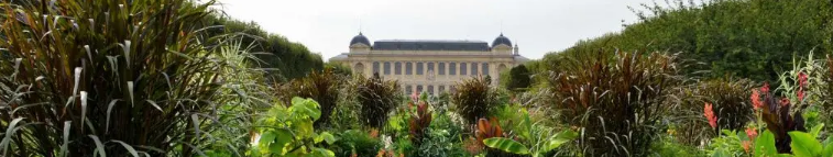 mnhn_jardin_bandeau_horizontal